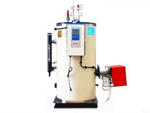LSS Garment Industry Oil Gas Fired 12kw Steam Generator Boiler